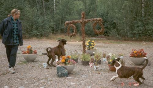 TEAMWORK Boxerkennel, Maritha stlund-Holmsten + Lukas och Karro!